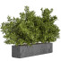 Drzewa Outdoor Plants in Concrete Box 02 - shayan sharify