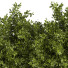 Drzewa Outdoor Plants in Concrete Box 02 - shayan sharify