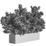 Drzewa Outdoor Plants in Concrete Box 02 - shayan sharify