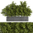 Drzewa Outdoor Plants in Concrete Box 02 - shayan sharify
