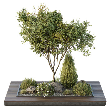 Bäume und Sträucher HQ Gartenkiste Draußen Band 43  3D-Modell