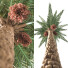 Drzewo Palm 001 - shayan sharify