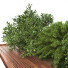 Árbol y arbustos Conjunto de Jardín 01 - shayan sharify