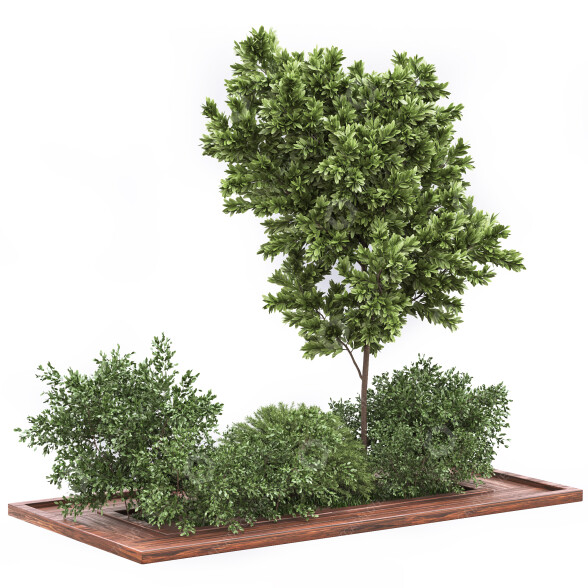 Árbol y arbustos Conjunto de Jardín 01 Modelo 3D