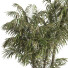 Arbres et buissons Ensemble de Jardin 06 - shayan sharify