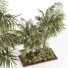 Arbres et buissons Ensemble de Jardin 06 - shayan sharify