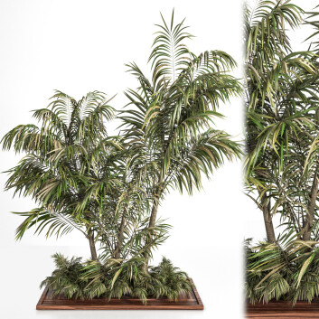 Bäume und Sträucher Gartenset 06 3D-Modell