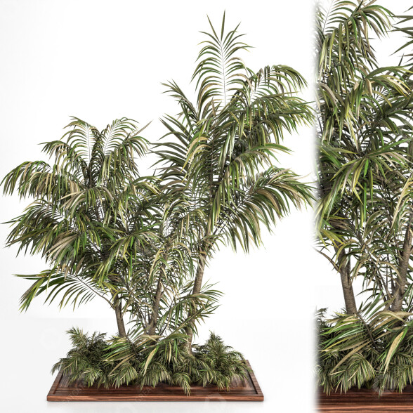 Arbres et buissons Ensemble de Jardin 06 modèle 3D