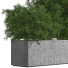 Drzewa Outdoor Plants in Concrete Box - shayan sharify