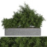 Drzewa Outdoor Plants in Concrete Box - shayan sharify