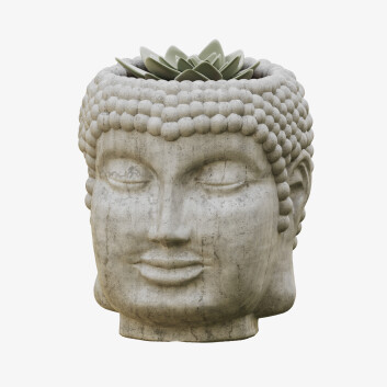 Buddha Head Model 3D