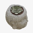 Statuetka Buddha Head - AnnaArt