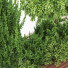 Arbres et buissons Ensemble de Jardin 02 - shayan sharify