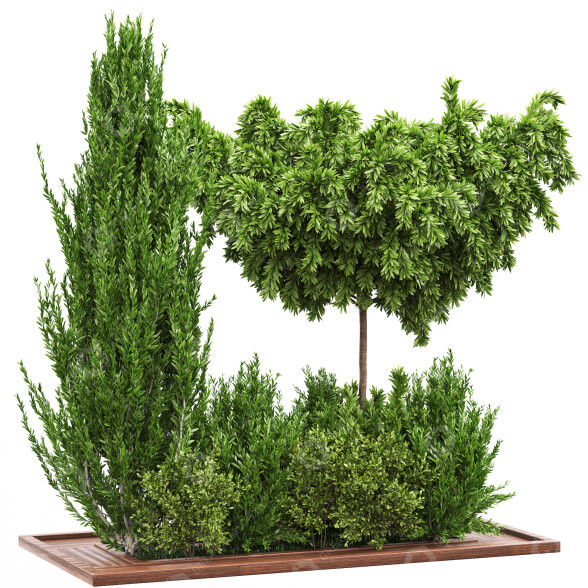 Arbres et buissons Ensemble de Jardin 02 modèle 3D
