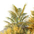 Plantas y banco HQ Conjunto de entorno urbano 20 - Pandora-land