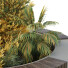 Plantas y banco HQ Conjunto de entorno urbano 20 - Pandora-land