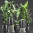 Potted Plants Collection 212 - rodolfoboscan911