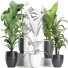 Potted Plants Collection 212 - rodolfoboscan911