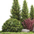 Árbol y arbustos Conjunto de plantas 223 - rodolfoboscan911