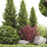 Árbol y arbustos Conjunto de plantas 223 - rodolfoboscan911