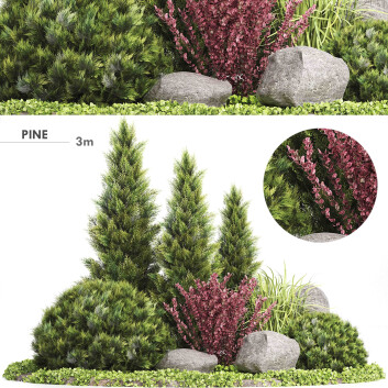 Árbol y arbustos Conjunto de plantas 223