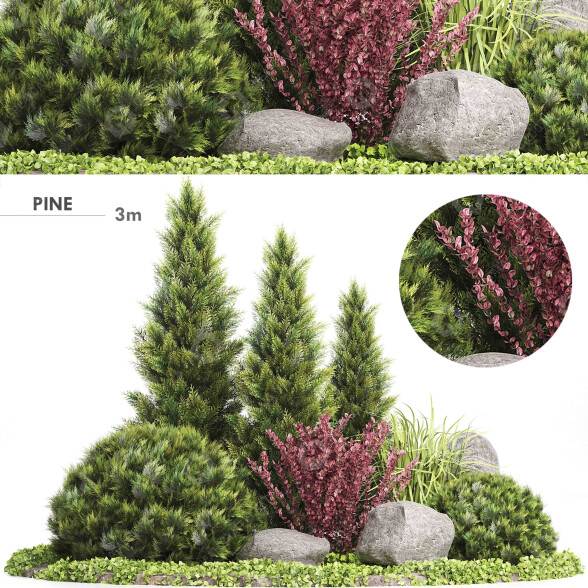 Árbol y arbustos Conjunto de plantas 223 Modelo 3D