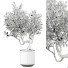 Bonsái Plantas de interior 310 - uniquevry