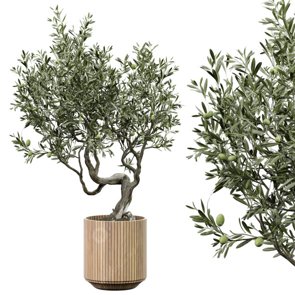 Bonsái Plantas de interior 310 Modelo 3D