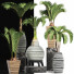 Potted Plants Collection 206 Palms - rodolfoboscan911