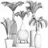 Potted Plants Collection 206 Palms - rodolfoboscan911