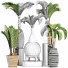 Potted Plants Collection 206 Palms - rodolfoboscan911