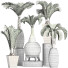 Potted Plants Collection 206 Palms - rodolfoboscan911