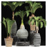 Potted Plants Collection 206 Palms - rodolfoboscan911