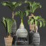Potted Plants Collection 206 Palms - rodolfoboscan911