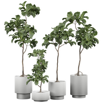 Topfpflanzen  Innen 313 3D-Modell