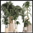 Plantes en pot Collection 202 Palmiers Égyptiens - rodolfoboscan911
