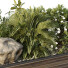 Bäume und Sträucher HQ Gartenkiste Draußen Band 46 - Pandora-land