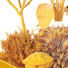 Bäume und Sträucher HQ Gartenkiste Draußen Band 46 - Pandora-land