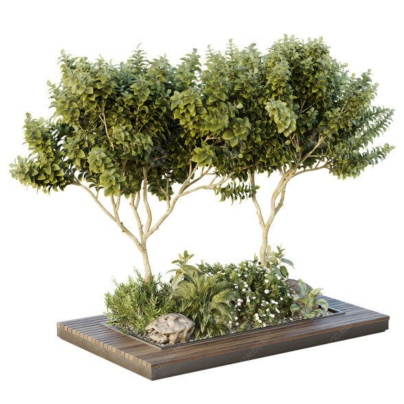 Bäume und Sträucher HQ Gartenkiste Draußen Band 46 3D-Modell