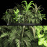 Bushes and Grass Plants Collection 209 Gardening Plants - rodolfoboscan911