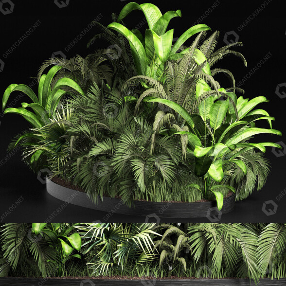 Bushes and Grass Plants Collection 209 Gardening Plants 3D model