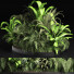 Bushes and Grass Plants Collection 209 Gardening Plants - rodolfoboscan911