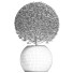 Plante en pot Collection 174 Ligustrum Lucidum - rodolfoboscan911