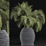 Plante en pot Collection 188 Palmier - rodolfoboscan911