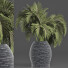 Plante en pot Collection 188 Palmier - rodolfoboscan911