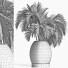 Plante en pot Collection 188 Palmier - rodolfoboscan911