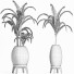 Plantes en pot Collection 185 Palmier - rodolfoboscan911