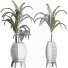 Plantes en pot Collection 185 Palmier - rodolfoboscan911