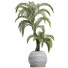 Plante en pot Collection 184 Palmier - rodolfoboscan911