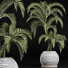 Plante en pot Collection 184 Palmier - rodolfoboscan911